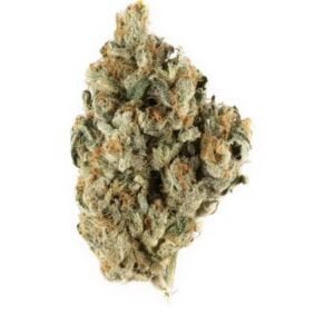 Buy Blackberry Kush Online In Bali