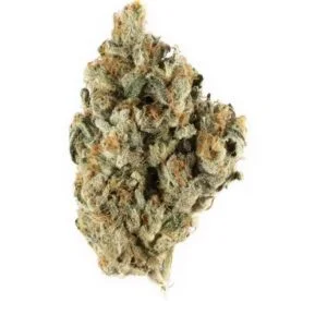 Buy Blackberry Kush Online In Bali