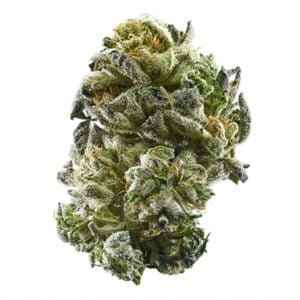 Buy Girls Scout Cookies Online In Bali