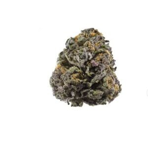 Buy Grand Daddy Purple Online In Bali