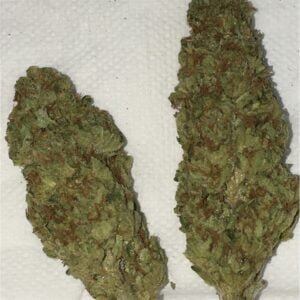 Buy Skywalker OG in Bali