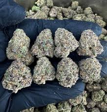 Buy OG Kush In Bali