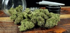 Buy Moon Rocks Strain Online In Bali