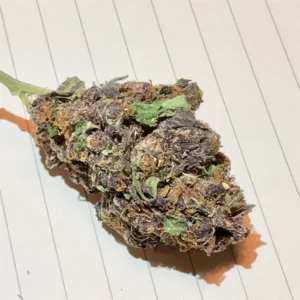 Buy Blackberry Kush Online In Bali