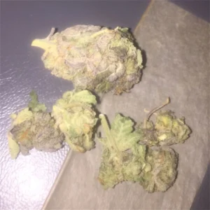 Buy Girls Scout Cookies Online In Bali