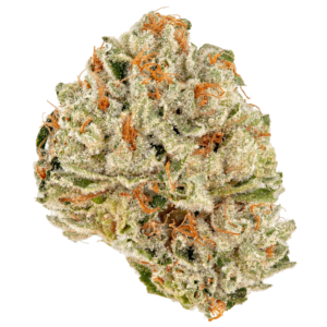 Buy Skywalker OG In Bali