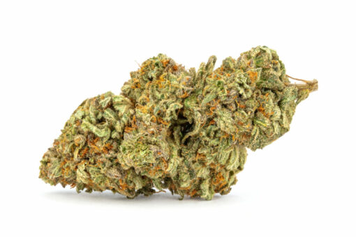 buy girl scout cookies weed online