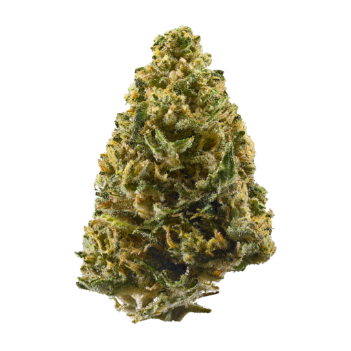 northern lights strains
